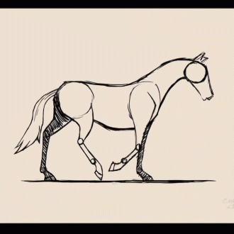 Horse Animation