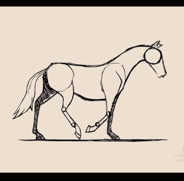 Horse Animation