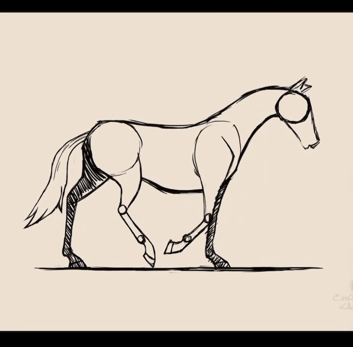 Horse Animation